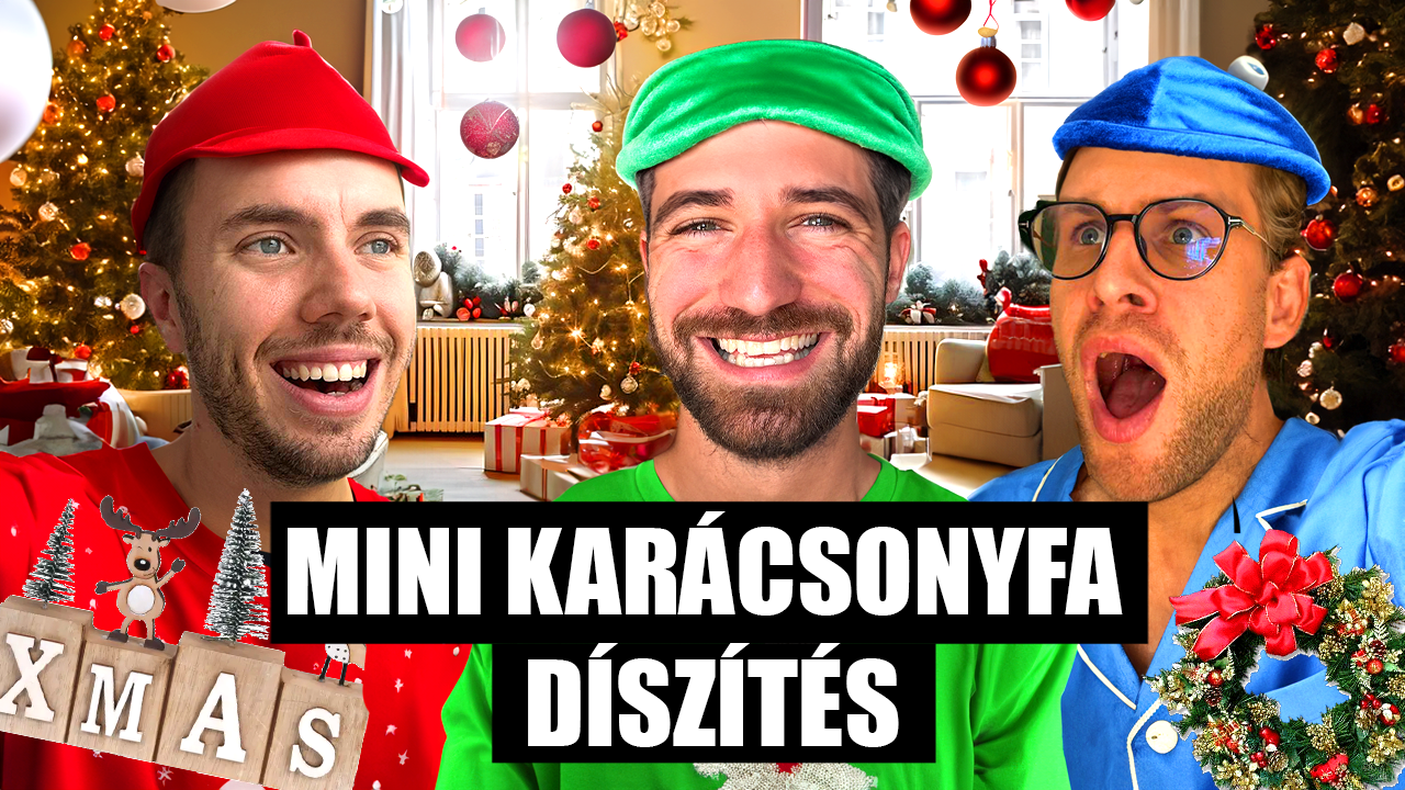FELDÍSZÍTETTÜK Az Ország LEGKISEBB Karácsonyfáját!